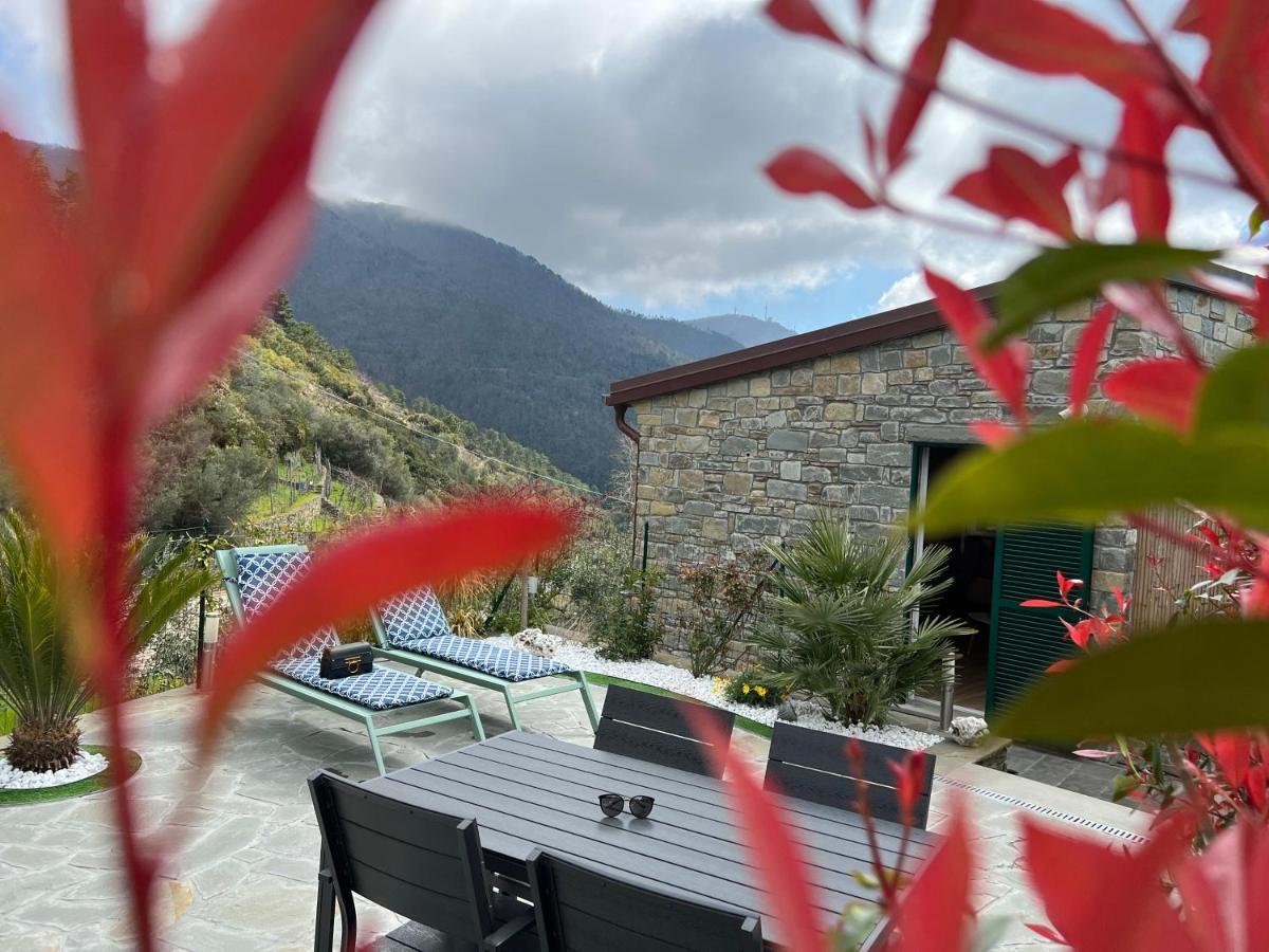 The Garden Villa Volastra Exterior photo
