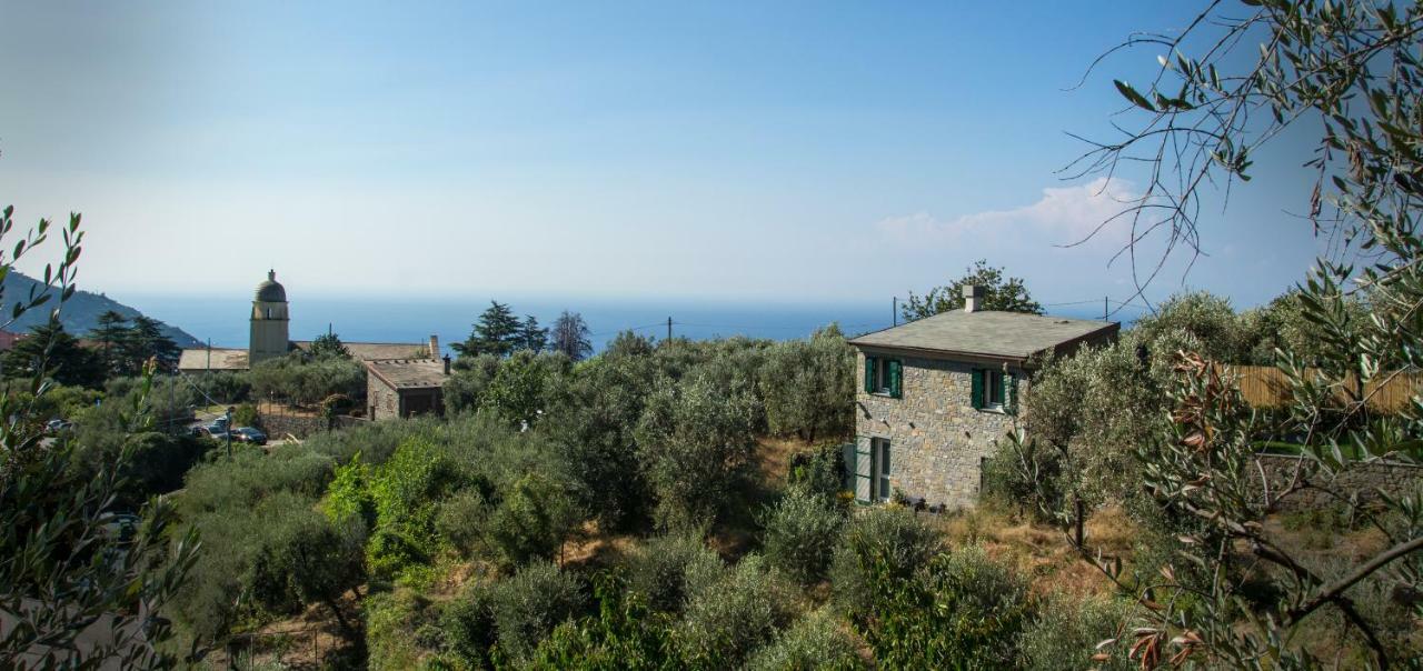 The Garden Villa Volastra Exterior photo